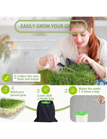 Kit de Germinación de Semillas PHAIN 4 Niveles Verde Drenaje