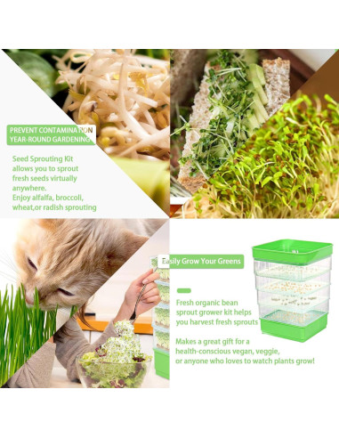 Kit de Germinación de Semillas PHAIN 4 Niveles Verde Drenaje