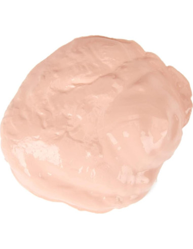 Pintura Tempera Crayola Durazno 473ml para Niños