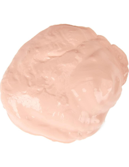 Pintura Tempera Crayola Durazno 473ml para Niños