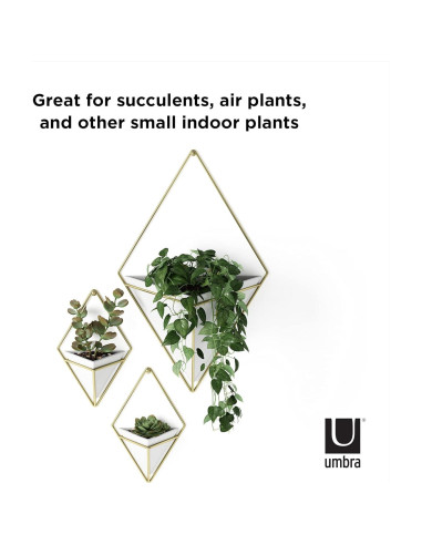 Maceta Colgante Umbra Trigg Pequeña Blanca y Latón, Juego de 2