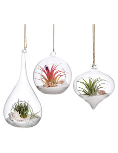 Mkono 3 Terrarios Colgantes de Vidrio para Plantas - Oliva, Globo, Gota