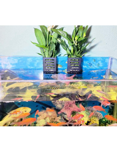 Tazas Colgantes para Acuarios QICIKRASE 2 PCS Soporte Plantas