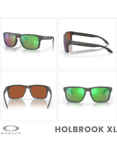 Gafas de sol Oakley Holbrook OO9102 con lentes Prizm
