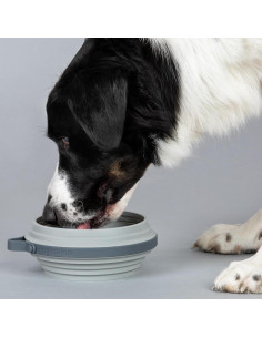 Tazón Colapsable Grande Cleverpup - Silicona 4 Tazas Gris 2