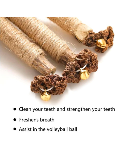 6 Palos de Silvervine Natural HZ-M para Gatos - Juguetes Dentales