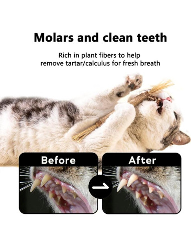 6 Palos de Silvervine Natural HZ-M para Gatos - Juguetes Dentales