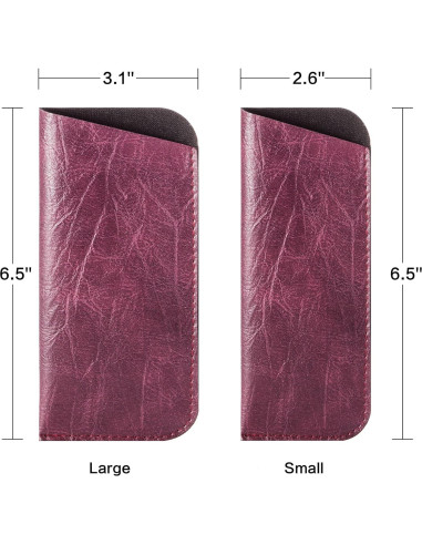 Funda para Gafas Triumph Vision 3 Piezas Neopreno Compacta