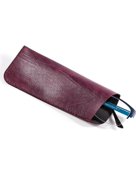 Funda para Gafas Triumph Vision 3 Piezas Neopreno Compacta