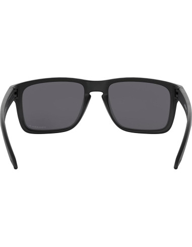 Gafas de sol Oakley Holbrook XL + Accesorios incluidos