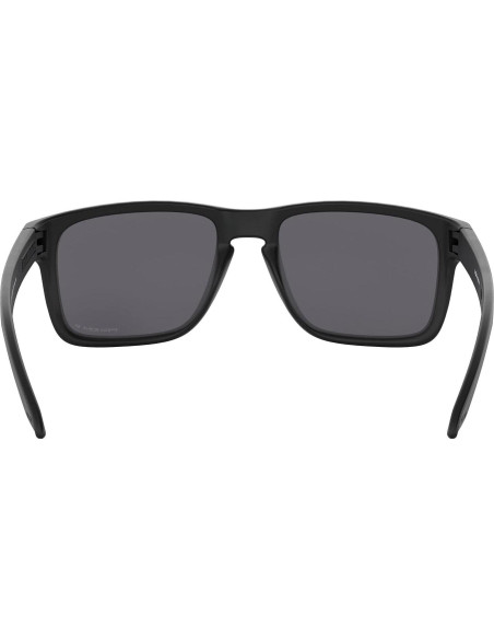 Gafas de sol Oakley Holbrook XL + Accesorios incluidos