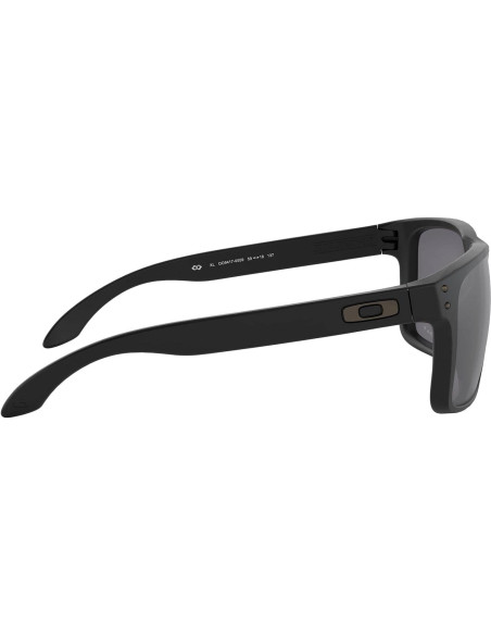 Gafas de sol Oakley Holbrook XL + Accesorios incluidos