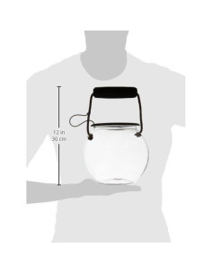 Acuario de Playa Dry Branch 20x20x17 cm, Kit Educativo 2