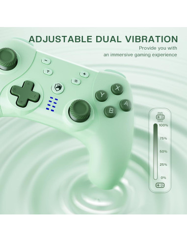 Controlador Inalámbrico ECHTPower Pro para Switch/PC/Android