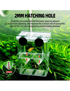 Caja de Incubación de Peces Boxtech Acrílica Blanca 21x9.5cm 2