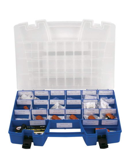 Organizador portátil Akro-Mils 06318 20 compartimentos Azul