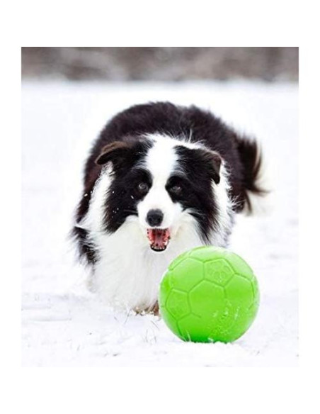 Juguete para Perros Jolly Pets Balón Flotante 20 cm Verde