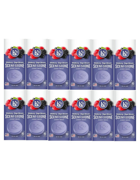 Aromatizante de Aire K29 Frutos Silvestres - Paquete 12