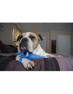 Juguete para Perros Loofa Cumpleaños Feliz Multipet 30 cm 2