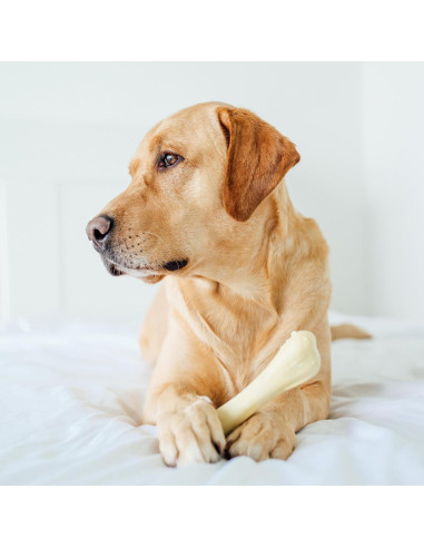 Juguete de Masticar para Perros Petstages Chick-A-Bone Sabor Pollo Mediano