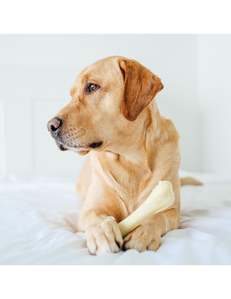 Juguete de Masticar para Perros Petstages Chick-A-Bone Sabor Pollo Mediano