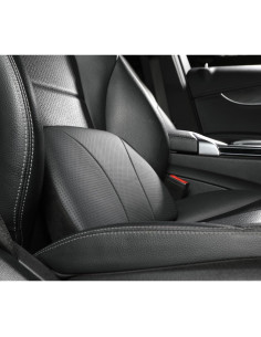 Cojín Lumbar POKSRI Cuero de Vaca 39x22 cm Espuma Memoria 2