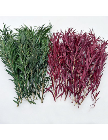 Cayway 2 Arbustos Artificiales Verde y Rojo para Diorama