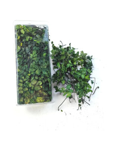 Vegetación de Vid Miniatura Haivvood Verde Oscuro 17.78x7.62 cm