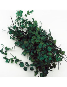 Vegetación de Vid Miniatura Haivvood Verde Oscuro 17.78x7.62 cm 2