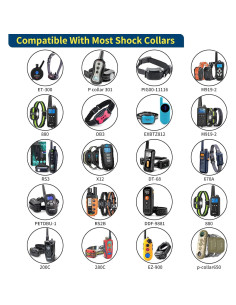 Cargador de Collar Shock PaiPaitek 4 en 1 Compatible 2