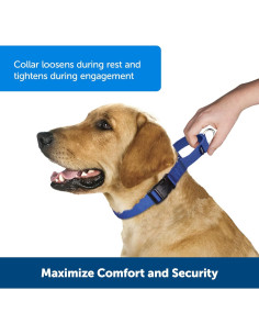 Collar Martingale PetSafe Mediano 1.9 cm Frambuesa 2