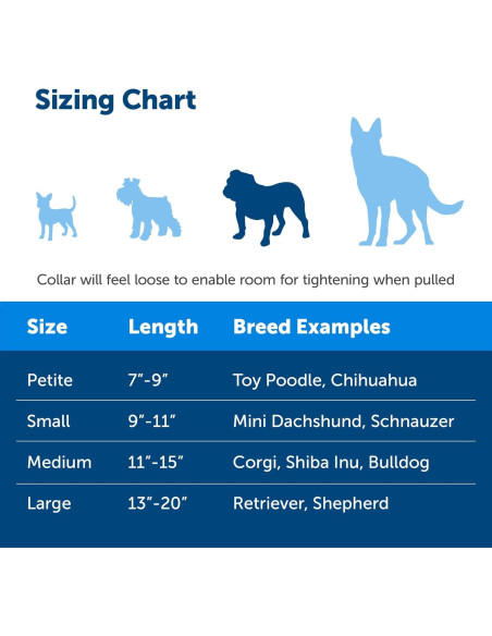 Collar Martingale PetSafe Mediano 1.9 cm Frambuesa
