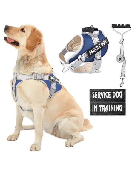 Arnés para Perros HUSDOW XL Ajustable y Reflectante Azul
