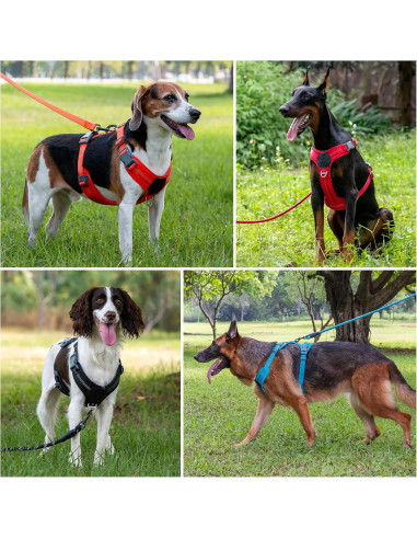 Arnés para Perros Plutus Pet Rojo L Ajustable Reflectante