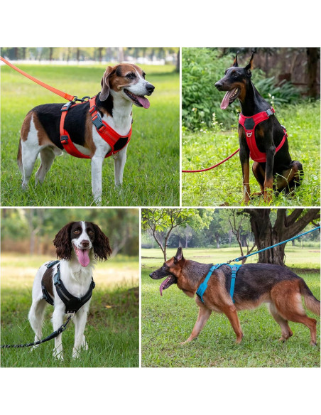 Arnés para Perros Plutus Pet Rojo L Ajustable Reflectante