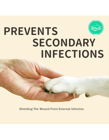 Botas Desechables para Perros Furrtripsy M 32 Piezas