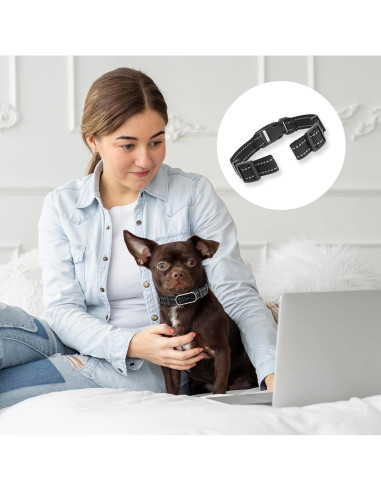 Correa de Reemplazo para Collar de Entrenamiento Xthrotsenk 10x8cm