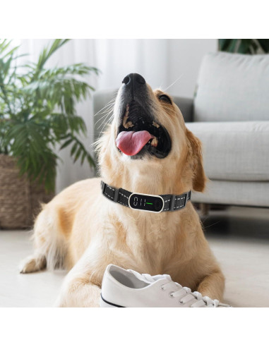 Correa de Reemplazo para Collar de Entrenamiento Xthrotsenk 10x8cm