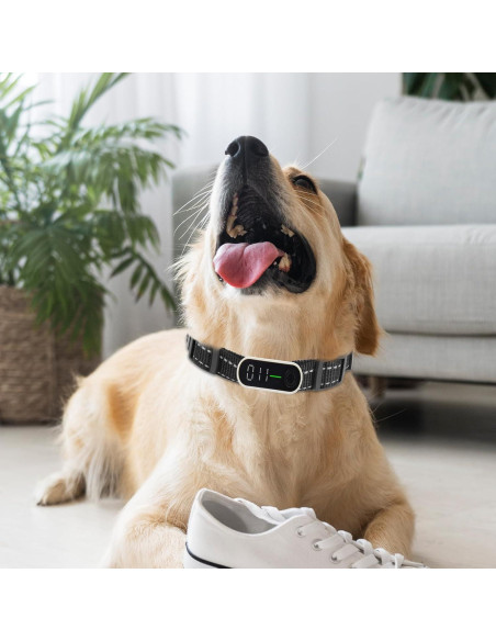 Correa de Reemplazo para Collar de Entrenamiento Xthrotsenk 10x8cm