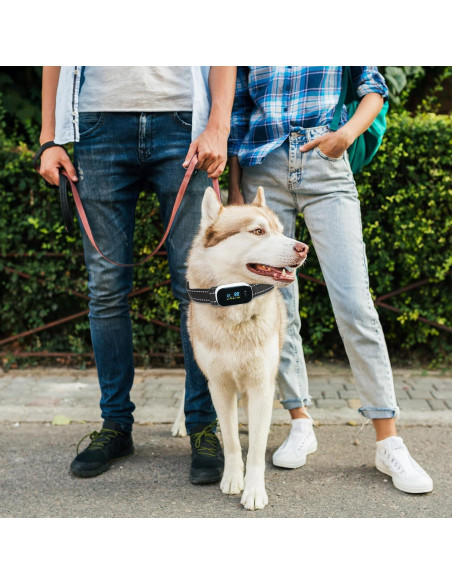 Correa de Reemplazo para Collar de Entrenamiento Xthrotsenk 10x8cm