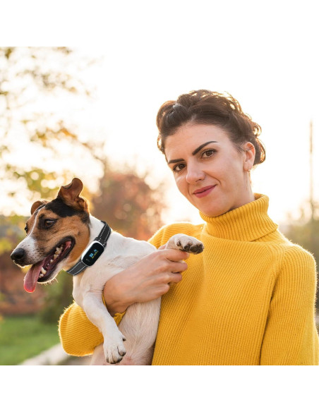 Correa de Reemplazo para Collar de Entrenamiento Xthrotsenk 10x8cm