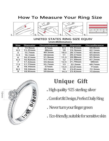 Anillo Fidget ReBest Plata Esterlina 925 Alivio Estrés 7