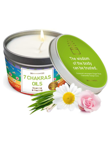 Vela Aromaterapia 7 Chakras Magnífico 101 170g 35h Quema