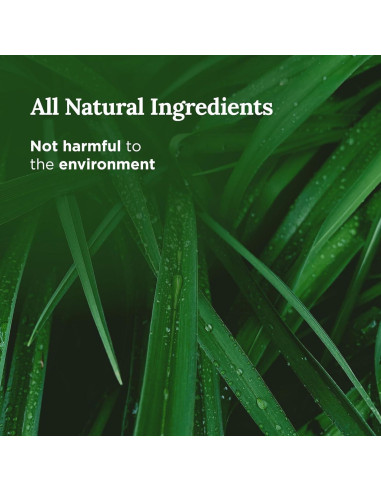 Vela Aromaterapia 7 Chakras Magnífico 101 170g 35h Quema