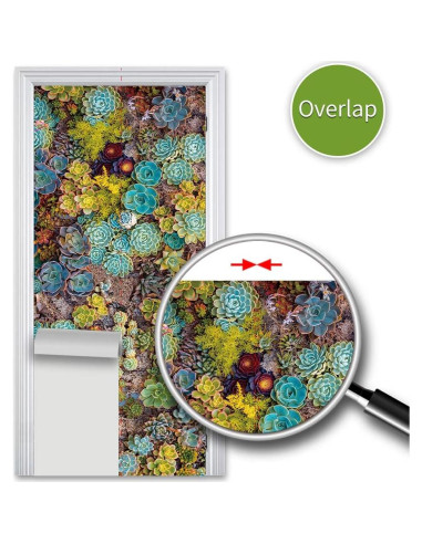 Mural de puerta autoadhesivo Alwayspon suculenta 82x200 cm