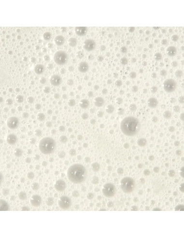 Champú Regeniplex John Paul Mitchell 287ml Cuero Cabelludo