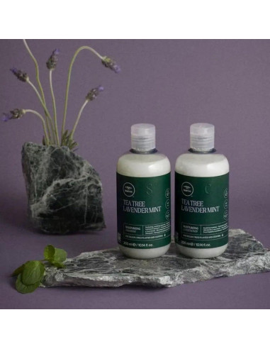 Champú Hidratante Árbol de Té John Paul Mitchell 1L