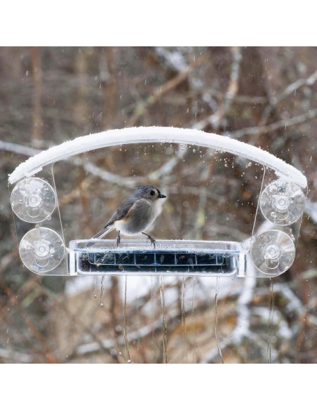 Comedero de Ventana Acrílico Jacobi Jayne Sky Deck 37x17 cm