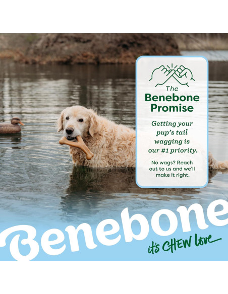 Benebone Wishbone Juguete Masticable para Perros Pequeños - Pato