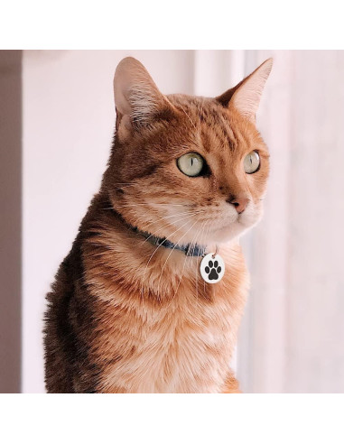 Etiqueta QR para Gatos MYLUCKYTAG - Acero Inoxidable, 2.49 cm